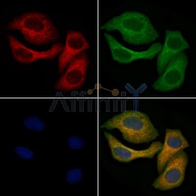 Валидация Affinity DF6749 - 18299