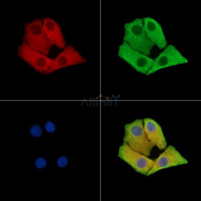 Валидация Affinity DF15453 - 11805