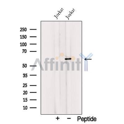 Валидация Affinity DF12782 - 7471