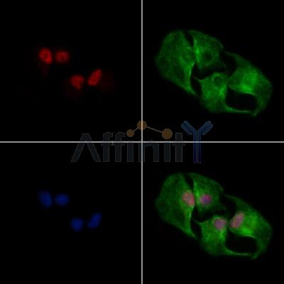 Валидация Affinity AF5002 - 2430