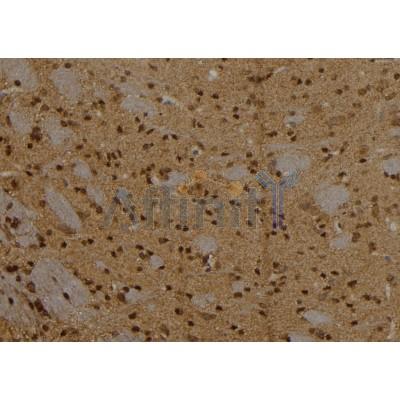 Валидация Affinity DF2435 - 13048