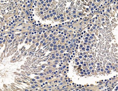 Валидация Affinity DF13947 - 9695