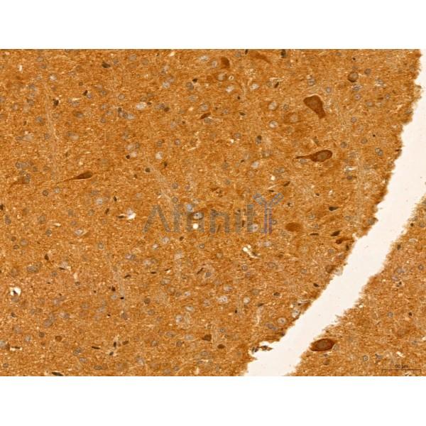 Валидация Affinity AF4007 - 2110