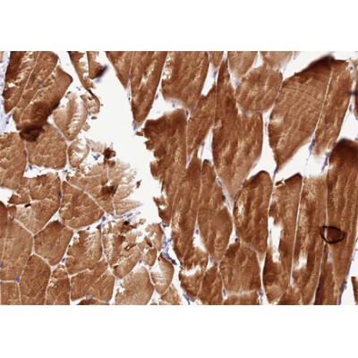 Валидация Affinity AF5351 - 2951