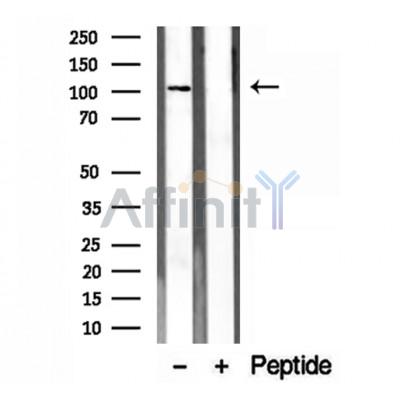 Валидация Affinity DF12201 - 6452