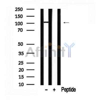Валидация Affinity AF7635 - 4308