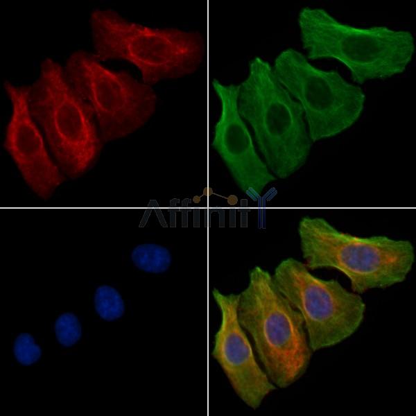 Валидация Affinity AF6972 - 4124