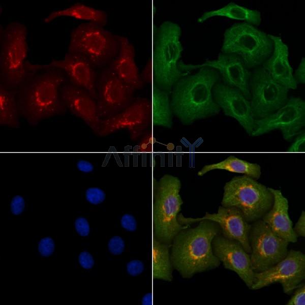 Валидация Affinity DF9645 - 22385