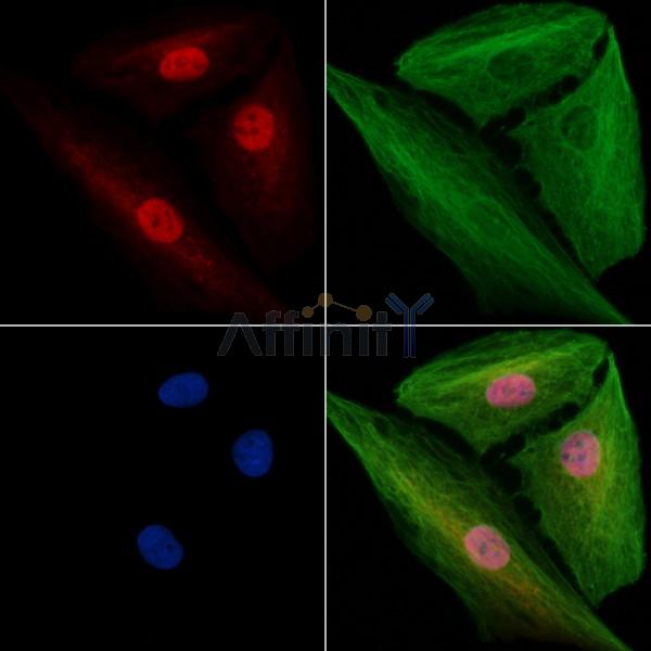 Валидация Affinity DF13635 - 9178