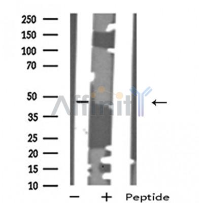 Валидация Affinity DF4907 - 16707