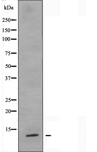 Валидация Affinity DF4357 - 15815