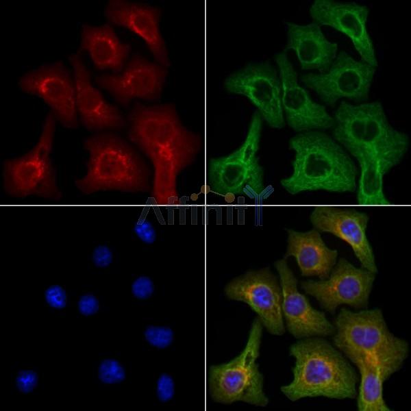 Валидация Affinity DF8985 - 21182