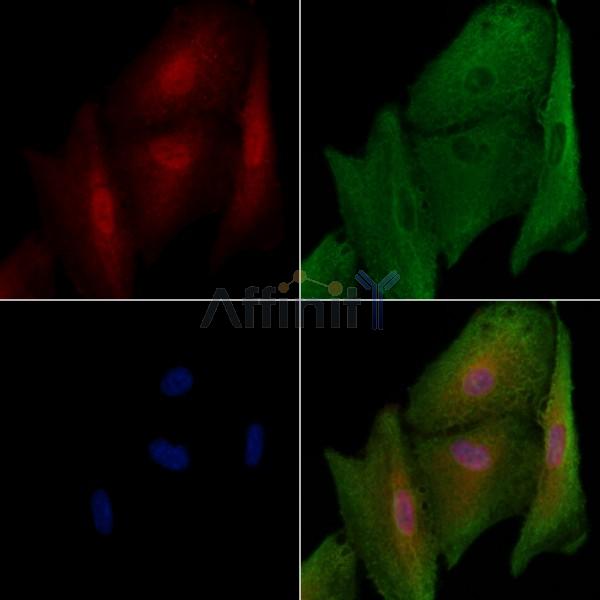 Валидация Affinity DF2573 - 13249