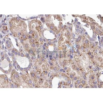 Валидация Affinity AF5195 - 2641