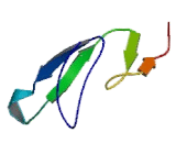 Epidermal Growth Factor (EGF) Epidermal Growth Factor (EGF)