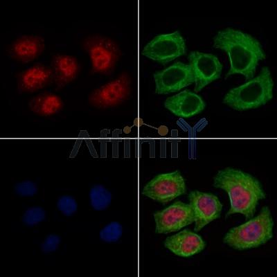 Валидация Affinity AF6495 - 3830