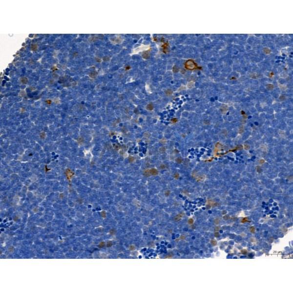 Валидация Affinity DF7772 - 19594