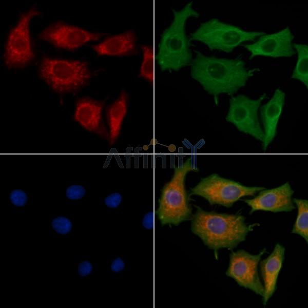 Валидация Affinity DF9739 - 22547