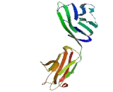 Lymphocyte Antigen 9 (LY9) Lymphocyte Antigen 9 (LY9)