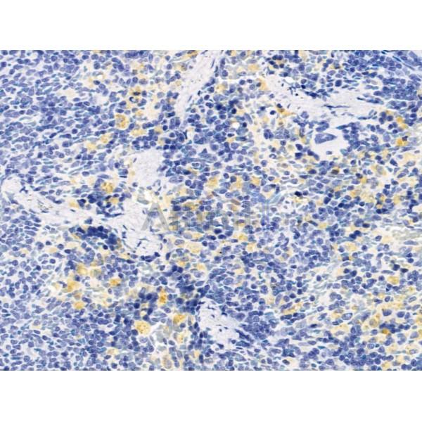 Валидация Affinity DF13560 - 9008