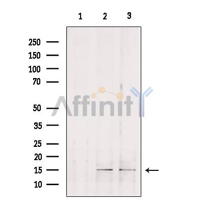 Валидация Affinity DF9071 - 21342