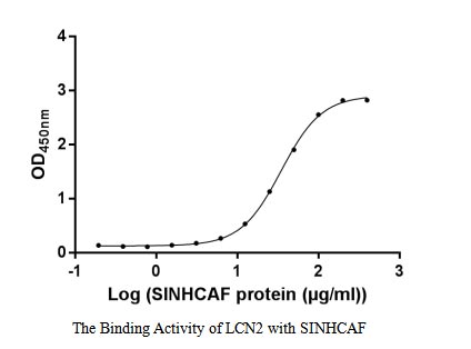 Функциональный ИФА: связывание LCN2 с SINHCAF