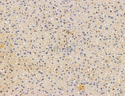 Валидация Affinity DF9056 - 21313