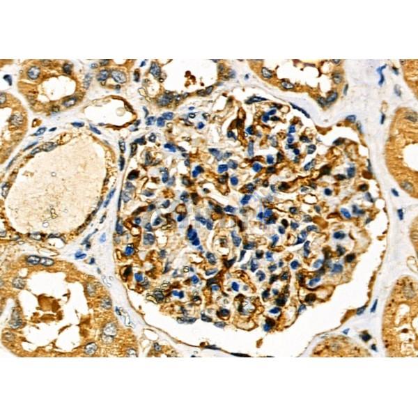 Валидация Affinity DF7000 - 18638