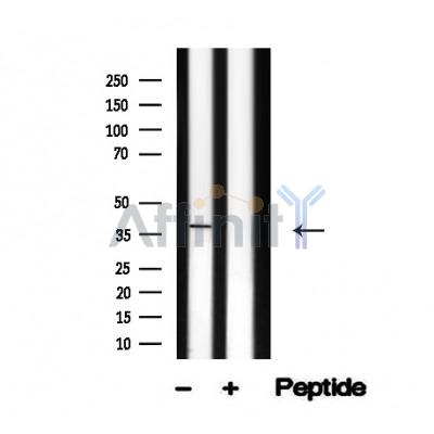 Валидация Affinity AF4757 - 2375