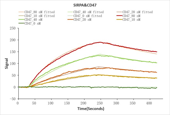 Анализ связывания SIRPA и CD47 методом LSPR