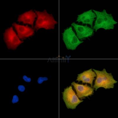 Валидация Affinity DF9428 - 21993