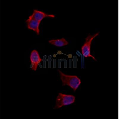 Валидация Affinity DF12122 - 6270