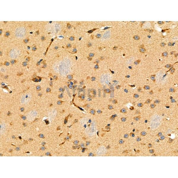 Валидация Affinity DF4195 - 15551