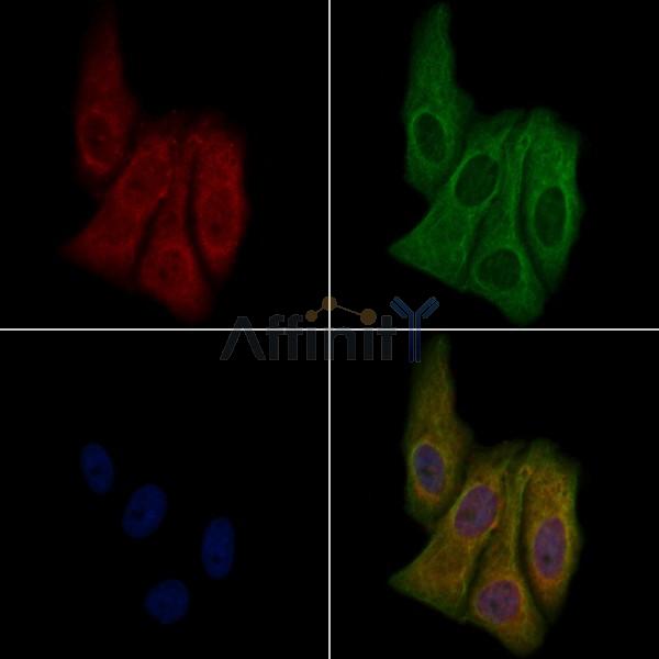 Валидация Affinity DF5072 - 16983