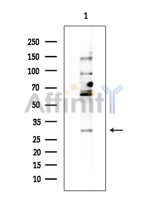 Валидация Affinity DF8206 - 20045