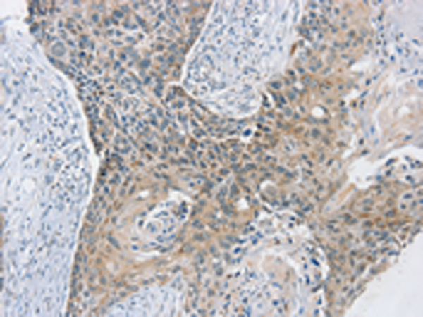 Валидация AssayVector ARM1725(2050)