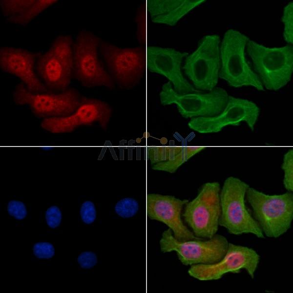 Валидация Affinity AF6119 - 3331
