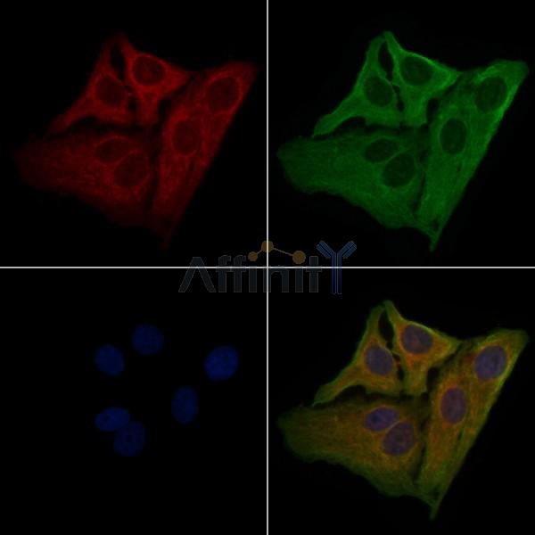 Валидация Affinity DF5068 - 16977