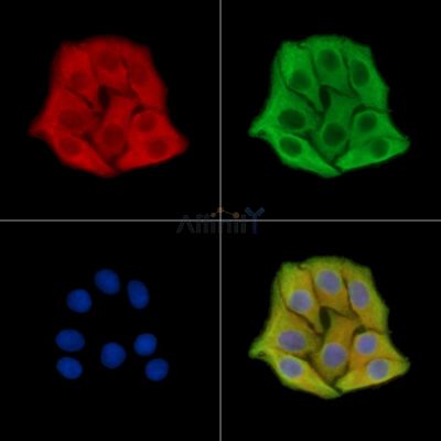 Валидация Affinity DF14652 - 10690