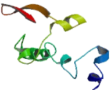 Integral Membrane Protein 2B (ITM2B) Integral Membrane Protein 2B (ITM2B)
