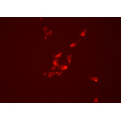 Валидация Affinity DF6318 - 17646