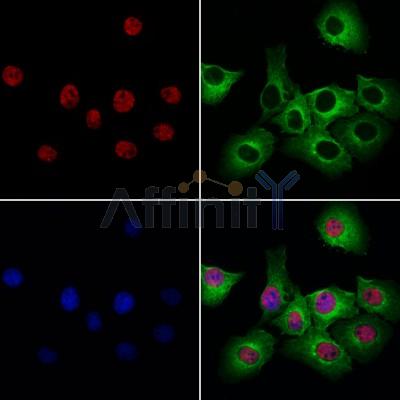 Валидация Affinity DF8011 - 19840