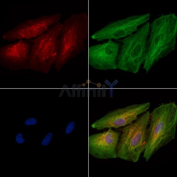 Валидация Affinity DF7298 - 18980