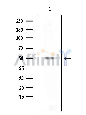 Валидация Affinity DF2325 - 12900