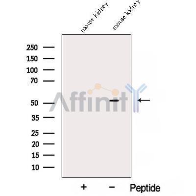 Валидация Affinity DF12820 - 7528