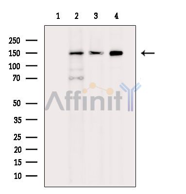 Валидация Affinity DF13927 - 9672