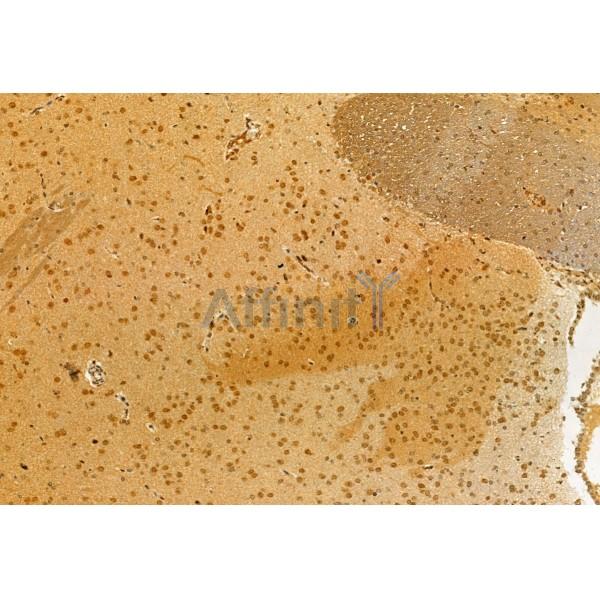 Валидация Affinity DF12013 - 6020