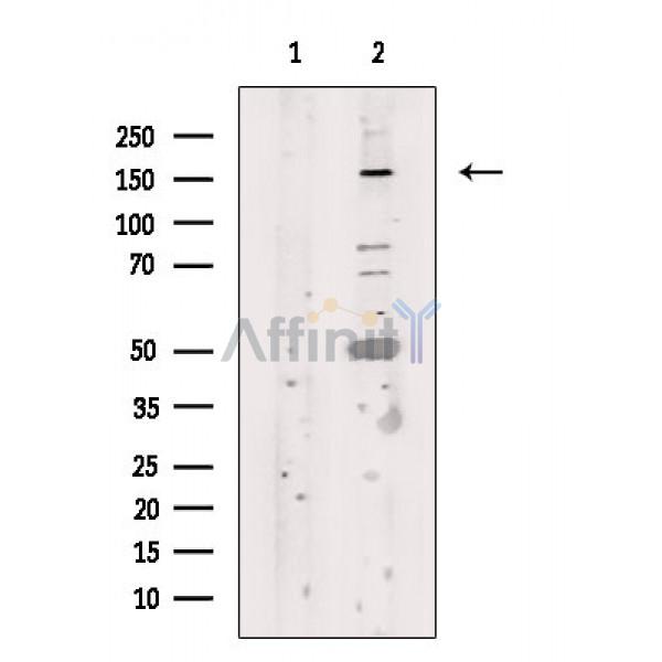 Валидация Affinity DF6800 - 18372