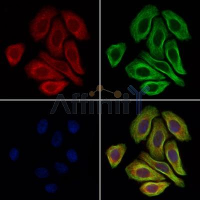 Валидация Affinity DF4890 - 16684