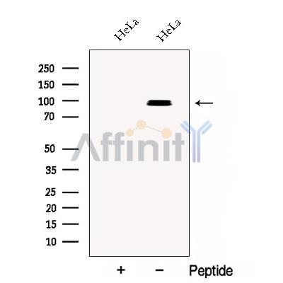Валидация Affinity DF12920 - 7673